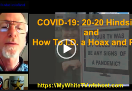 Covid-19: 20-20 Hindsight and How To I.D. a Hoax and Perps